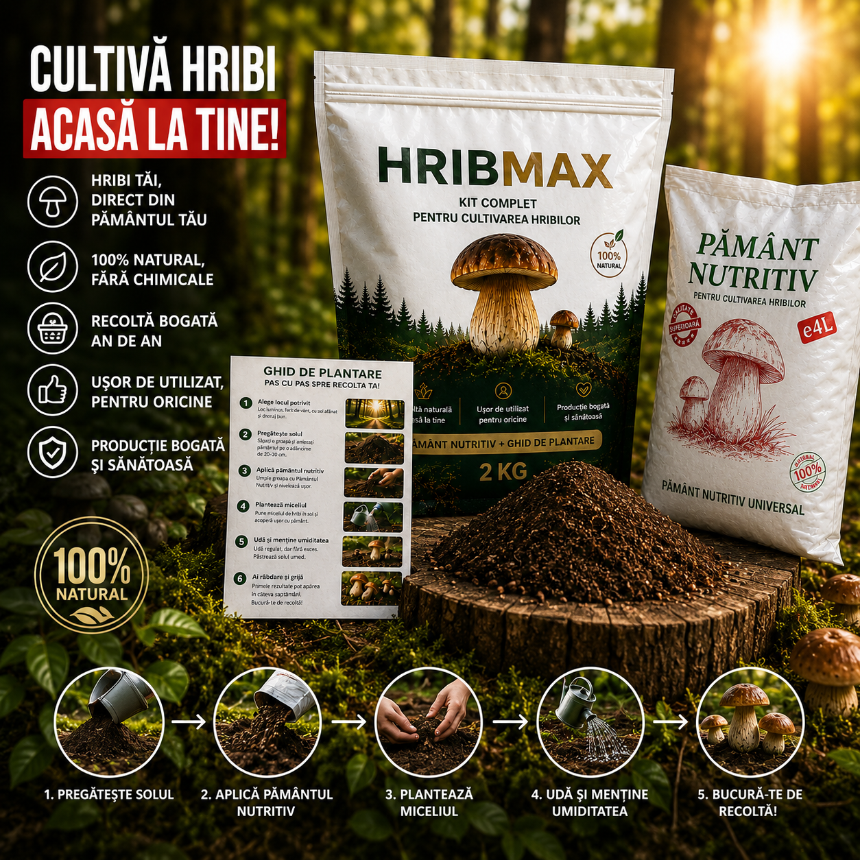 Miceliul de Hrib pentru Grădină – HribMax™